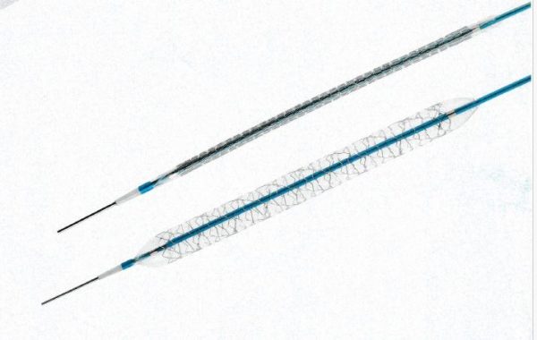 M'Sure-S Sirolimus Eluting Coionary Stent